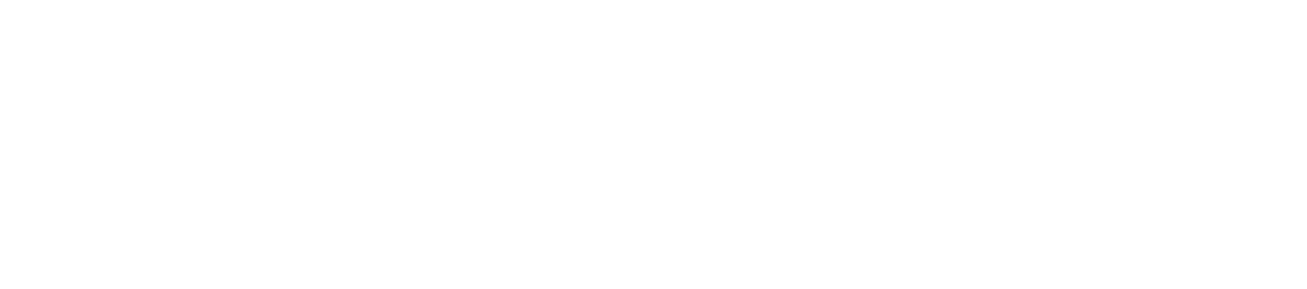 Zolplay Wordmark